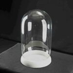 گلدان دکوری پارادایس استوانه ای قطر 11سانت - تصویر 2