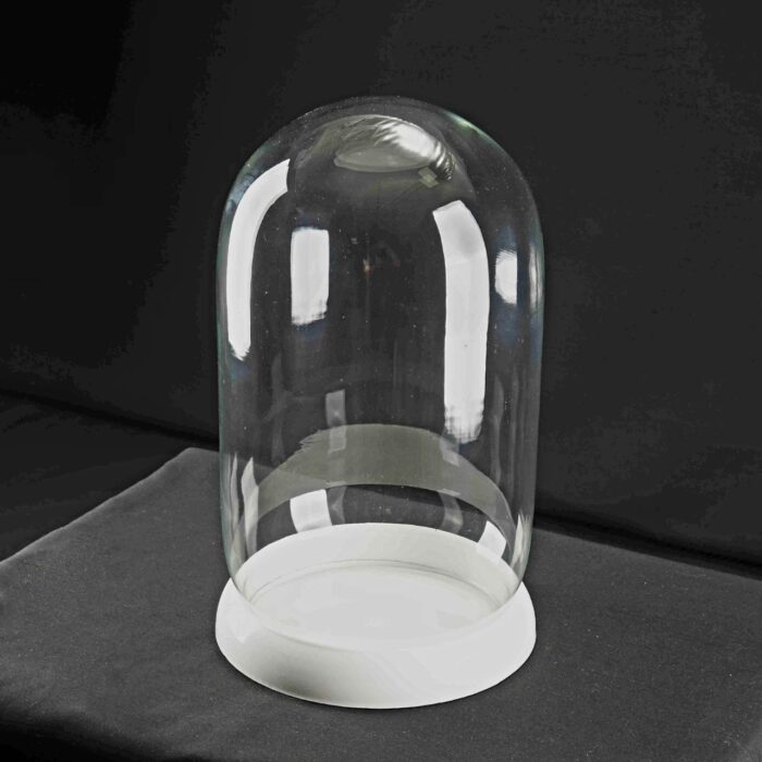 گلدان دکوری پارادایس استوانه ای قطر 11سانت - تصویر 2