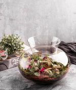 تنگ بوستان در 3 سایز مناسب گلدان شیشه ای گل طبیعی, شیشه تراریوم و تنگ ماهی