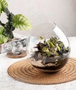 تنگ و گلدان سارینا در 2 سایز, مناسب شیشه تراریوم و دیزاین شیرینی فروش و شکلات فروشی جهت دیزاین شیرینی و شکلات شیشه شیرینی و شیشه شکلات ویترین شکلات