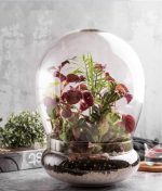 گلدان رومیزی آلیس هرمی