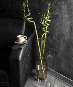 گلدان شیشه‌ای خمره‌ای آزالیا در ۴ سایز, گلدان بامبو