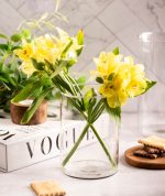 استوانه میخک در 4 سایز