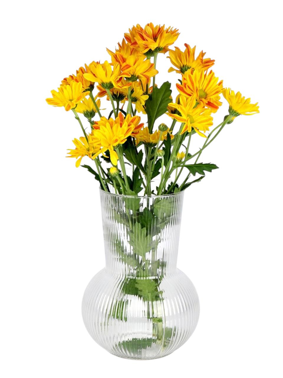 گلدان اوکیا بزرگ گلدان اوکیا بزرگ