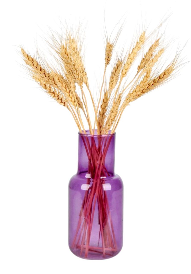 گلدان ایکیا الوان