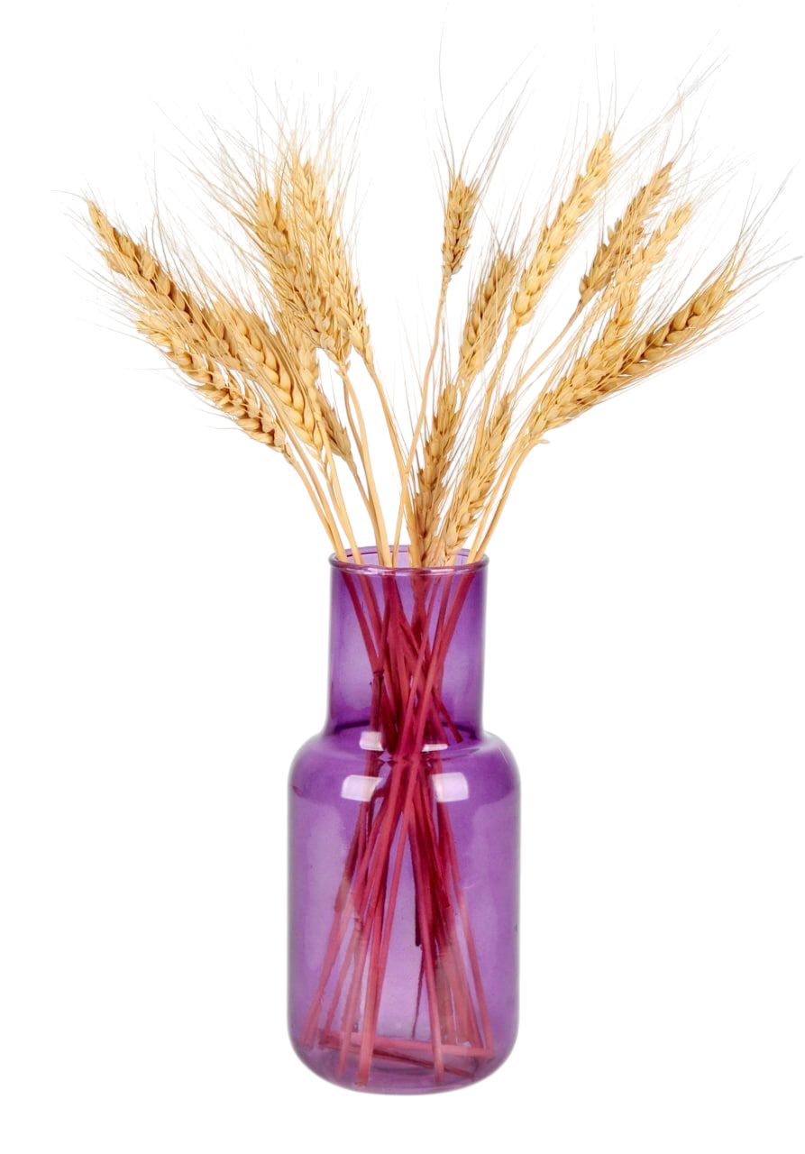 گلدان ایکیا الوان گلدان ایکیا الوان