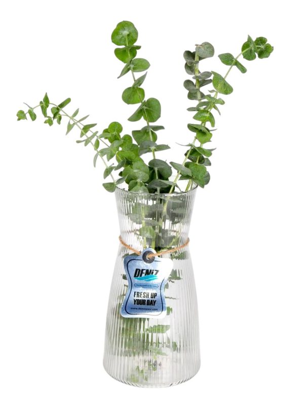 گلدان پانیا