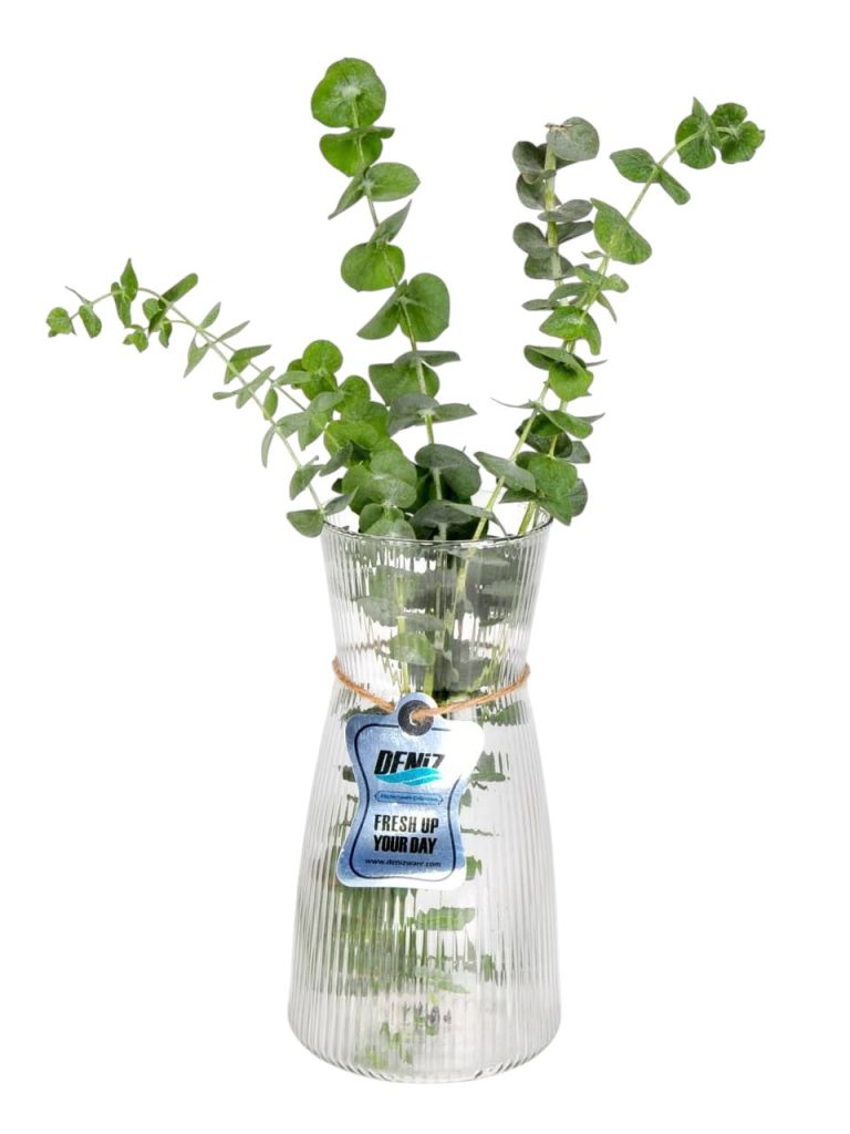 گلدان پانیا