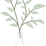 گلدان شیشه ای ساده رنگی