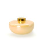 گلدان شیشه‌ای کد 16ابروبادگلدان مناسب دیزاین گل مصنوعی بخصوص گل ارکیده